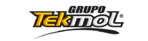 Cliente: Grupo Tekmol