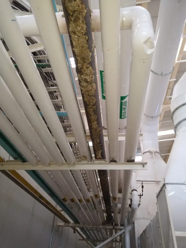 Líneas aisladas en nave